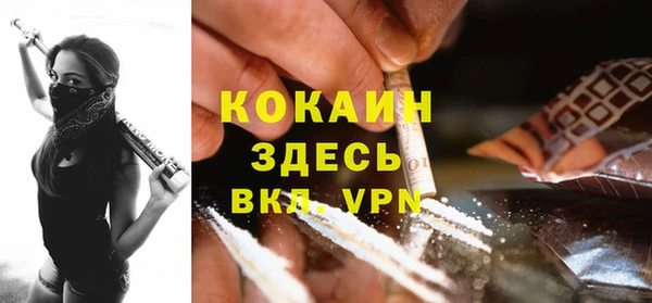 мяу мяу мука Бородино