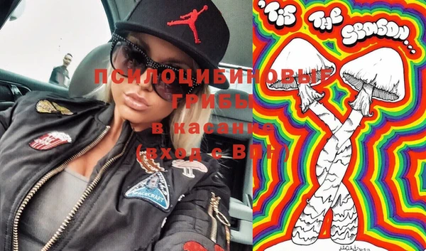 мяу мяу мука Бородино