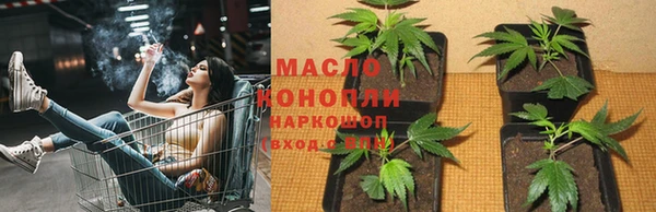 мяу мяу мука Бородино