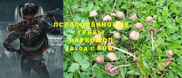 мяу мяу мука Бородино