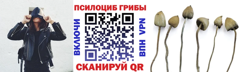 Галлюциногенные грибы прущие грибы  наркота  Смоленск 
